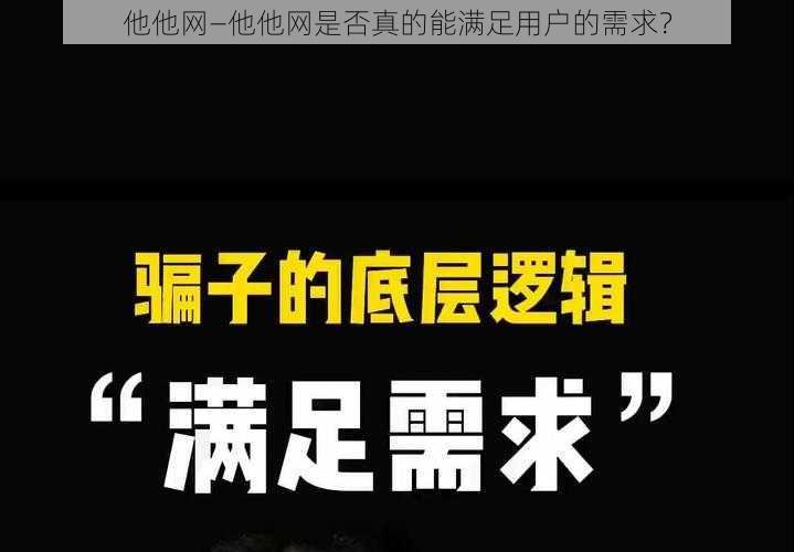 他他网—他他网是否真的能满足用户的需求？