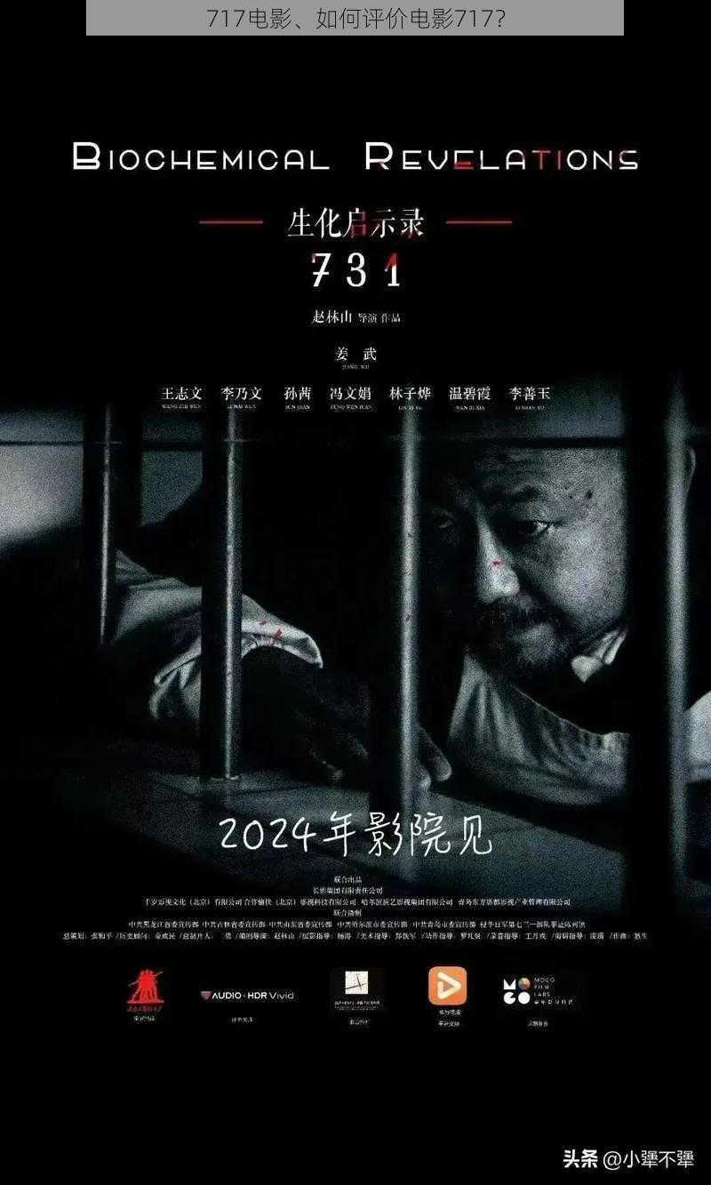 717电影、如何评价电影717？