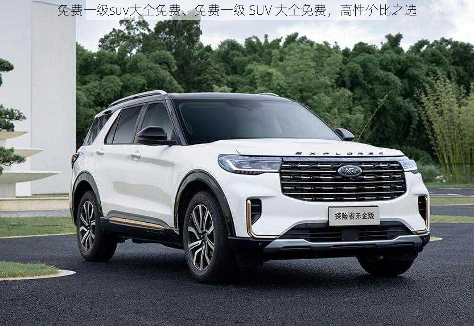 免费一级suv大全免费、免费一级 SUV 大全免费，高性价比之选