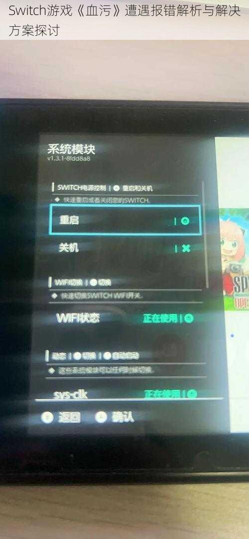 Switch游戏《血污》遭遇报错解析与解决方案探讨