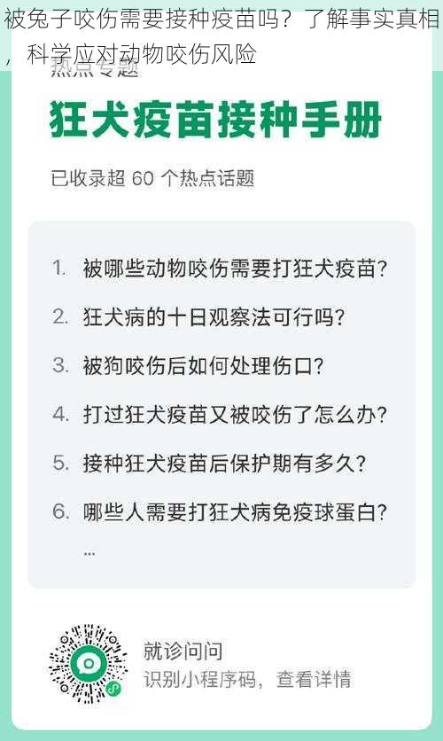 被兔子咬伤需要接种疫苗吗？了解事实真相，科学应对动物咬伤风险