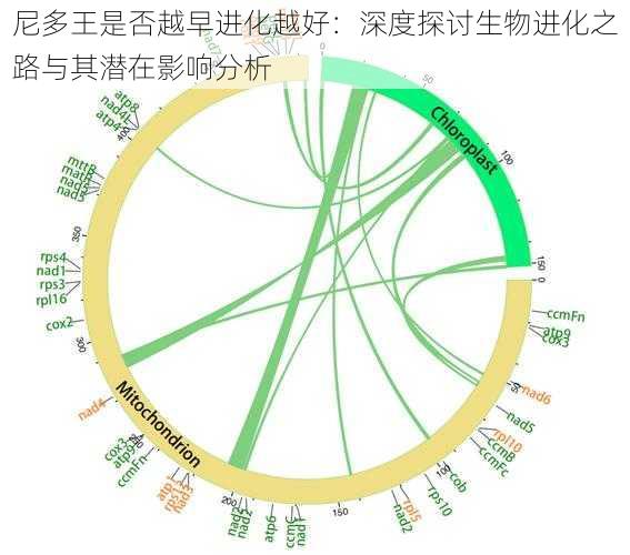 尼多王是否越早进化越好：深度探讨生物进化之路与其潜在影响分析