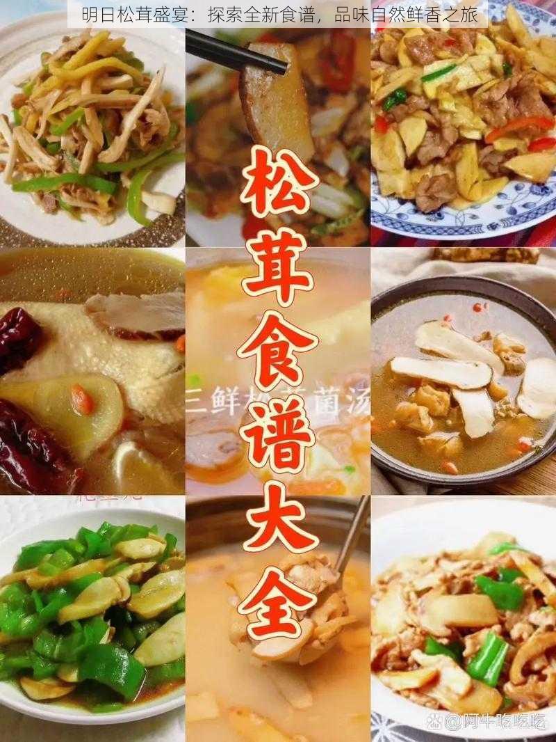 明日松茸盛宴：探索全新食谱，品味自然鲜香之旅