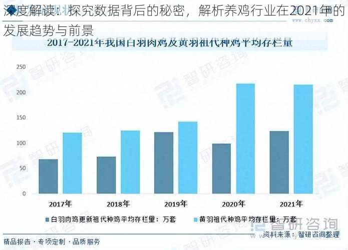 深度解读：探究数据背后的秘密，解析养鸡行业在2021年的发展趋势与前景