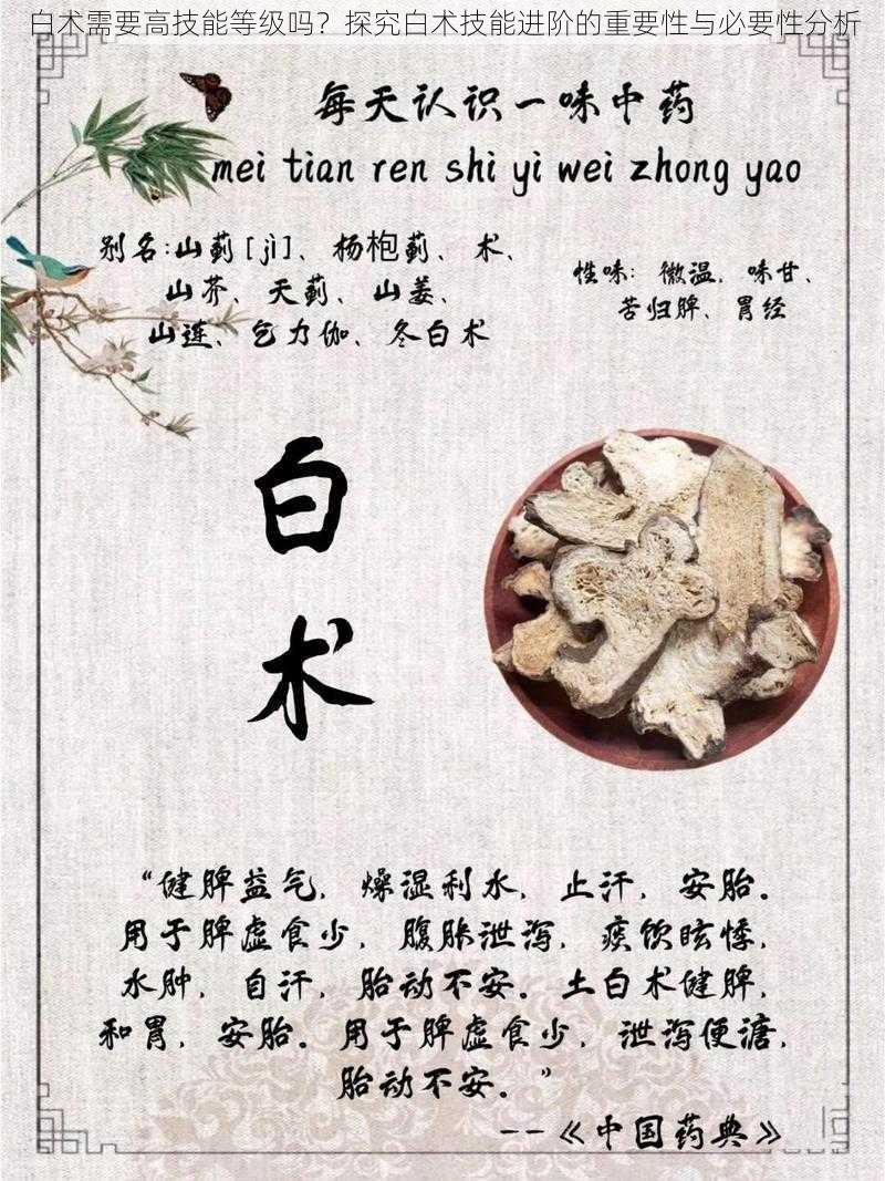 白术需要高技能等级吗？探究白术技能进阶的重要性与必要性分析