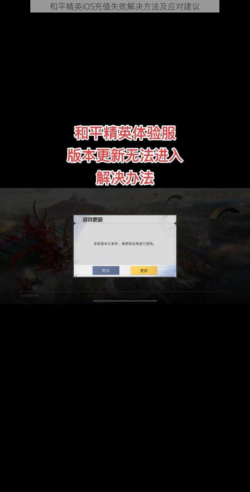 和平精英iOS充值失败解决方法及应对建议