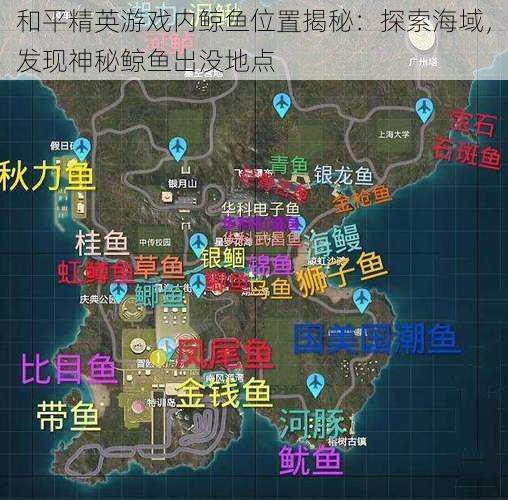 和平精英游戏内鲸鱼位置揭秘：探索海域，发现神秘鲸鱼出没地点