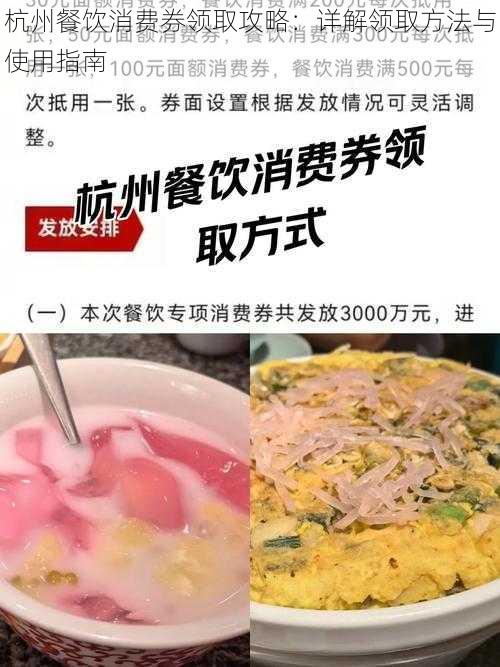 杭州餐饮消费券领取攻略：详解领取方法与使用指南