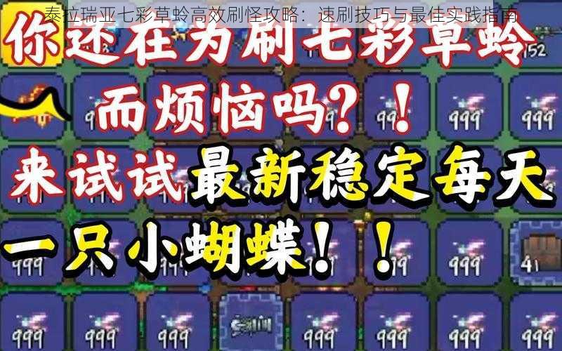 泰拉瑞亚七彩草蛉高效刷怪攻略：速刷技巧与最佳实践指南