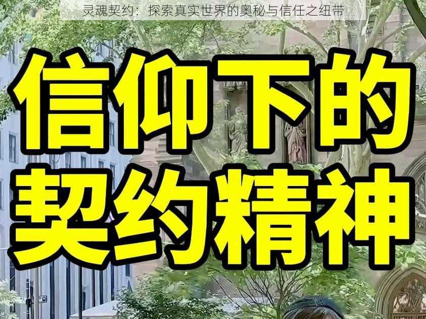 灵魂契约：探索真实世界的奥秘与信任之纽带