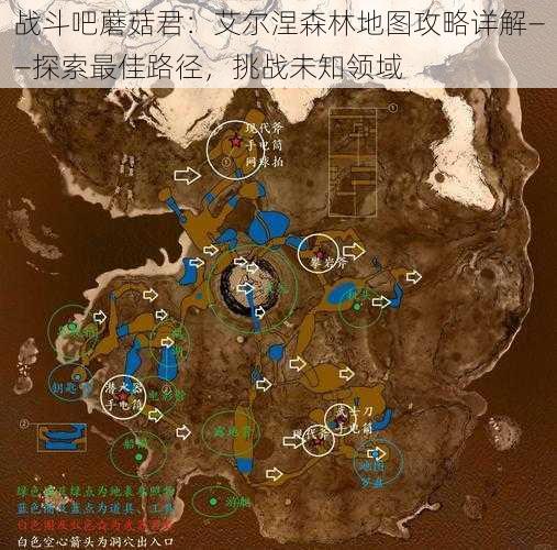 战斗吧蘑菇君：艾尔涅森林地图攻略详解——探索最佳路径，挑战未知领域