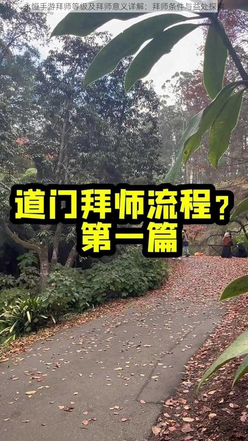 永恒手游拜师等级及拜师意义详解：拜师条件与益处探索