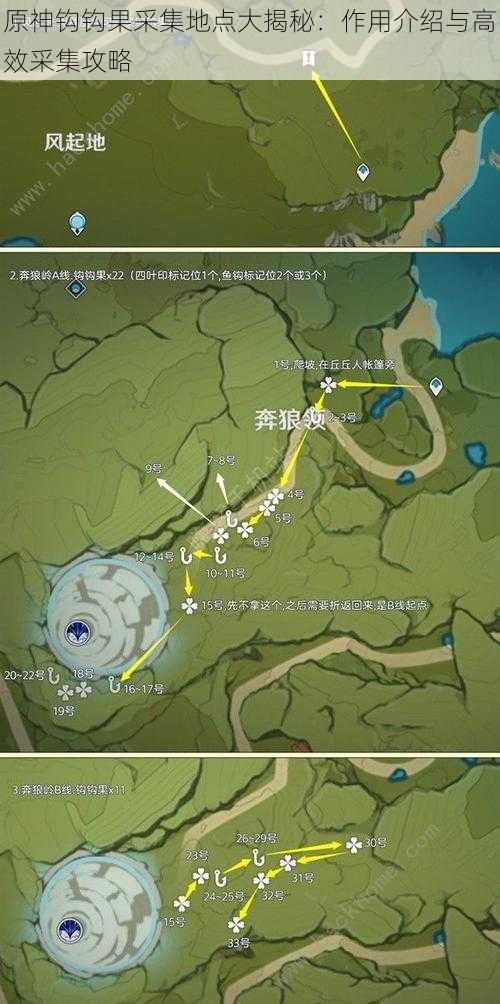 原神钩钩果采集地点大揭秘：作用介绍与高效采集攻略